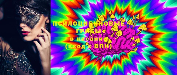 ГАЛЛЮЦИНОГЕННЫЕ ГРИБЫ Иннополис