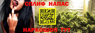 дживик Берёзовский