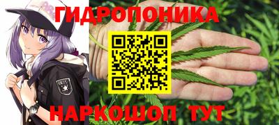 эйфоретик Заволжье