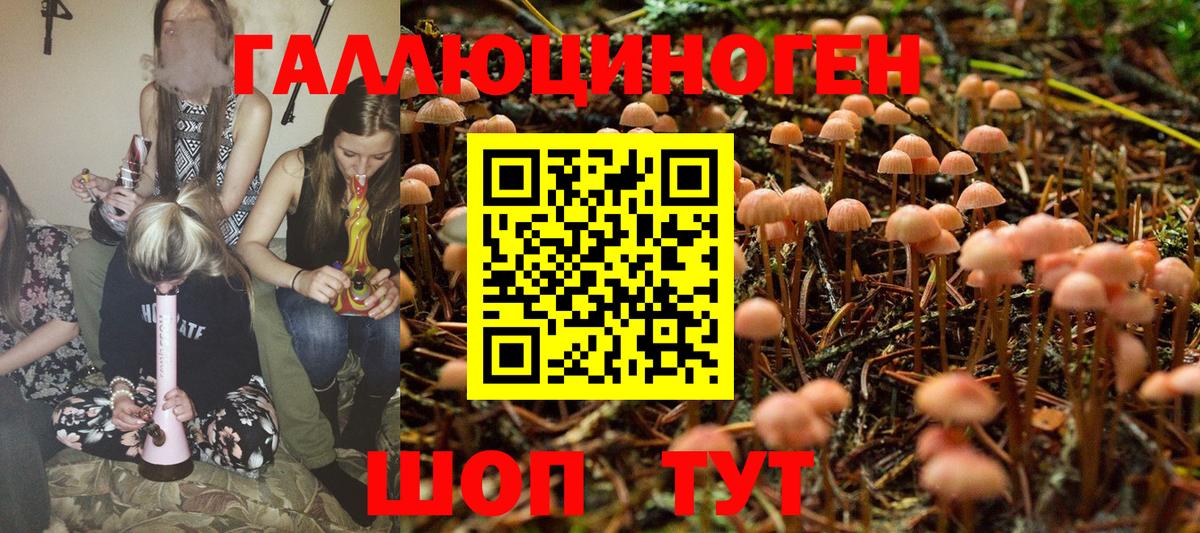 Псилоцибиновые грибы GOLDEN TEACHER  Изобильный 