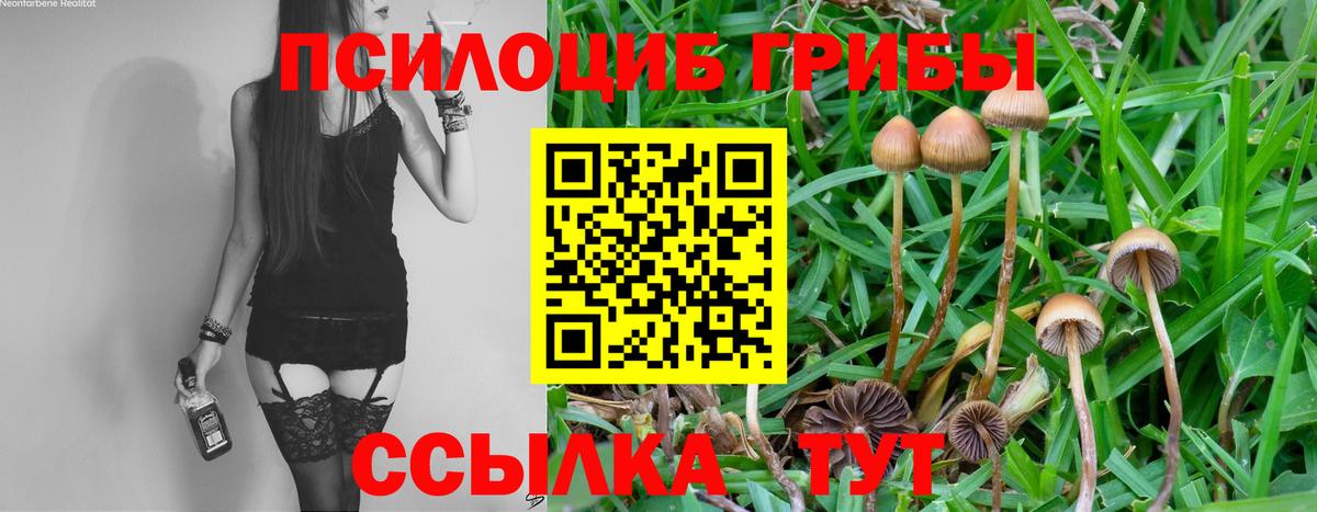Галлюциногенные грибы мухоморы Изобильный